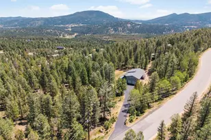 9790 S Warhawk Rd, Conifer, CO 80433 - Photo 49