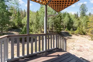 9790 S Warhawk Rd, Conifer, CO 80433 - Photo 7