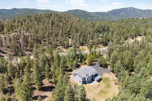 9790 S Warhawk Rd, Conifer, CO 80433 - Photo 47