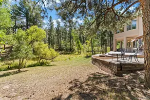 7524 Engineers Ct, Larkspur, CO 80118 - Photo 41