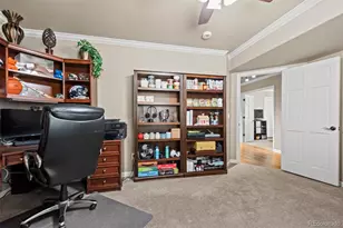 7524 Engineers Ct, Larkspur, CO 80118 - Photo 33