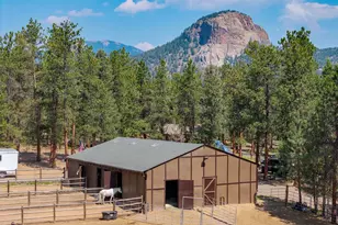 1734 Mt Evans Blvd, Pine, CO 80470 - Photo 5