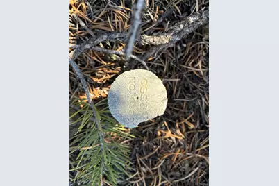 Lot 1057 Hotchkiss Road, Fort Garland, CO 81133 - Photo 13