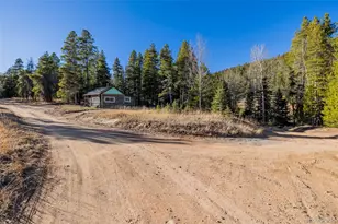 9719 Beaver Pond, Conifer, CO 80433 - Photo 5