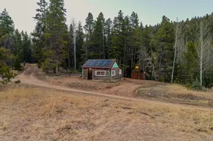 9719 Beaver Pond, Conifer, CO 80433 - Photo 41