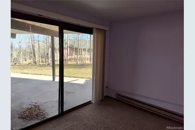 2584 High Creek Road, Fairplay, CO 80440 - Photo 17