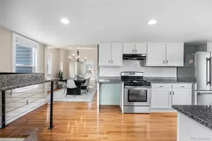 4546 Meade St, Denver, CO 80211 - Photo 15