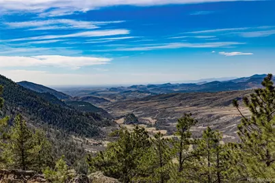9316 Tawny Lynx Road, Loveland, CO 80538 - Photo 7