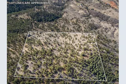 9316 Tawny Lynx Road, Loveland, CO 80538 - Photo 9