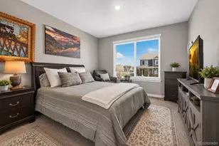 14225 Purple Aster Wy, Parker, CO 80134 - Photo 19