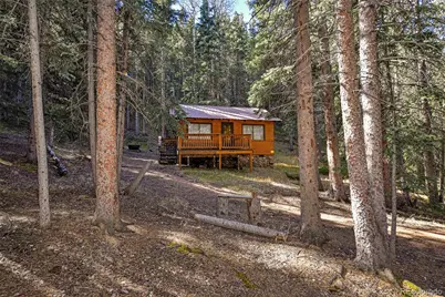 104 Usfs #383, Divide, CO 80814 - Photo 3
