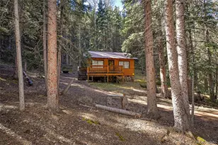 104 Usfs, Divide, CO 80814 - Photo 3