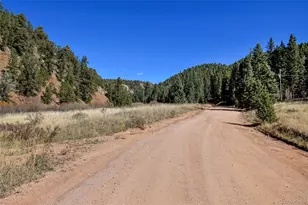 104 Usfs, Divide, CO 80814 - Photo 29