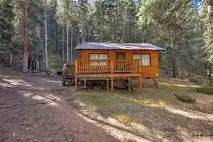 104 Usfs, Divide, CO 80814 - Photo 15