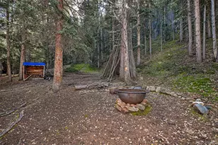 104 Usfs, Divide, CO 80814 - Photo 17