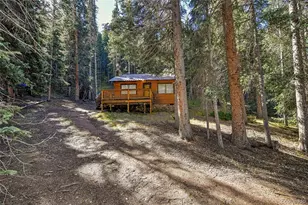 104 Usfs, Divide, CO 80814 - Photo 27