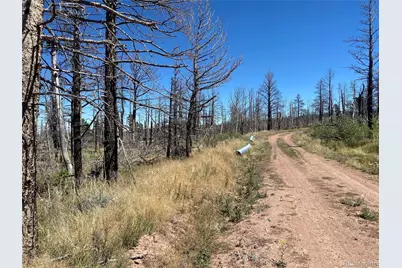 2169 Hayden Lane, Fort Garland, CO 81133 - Photo 3