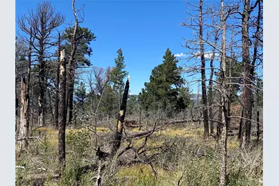 2169 Hayden Lane, Fort Garland, CO 81133 - Photo 5