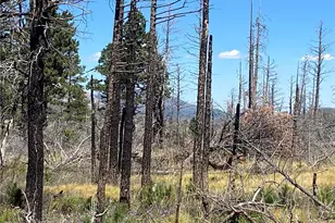 2169 Hayden Ln, Fort Garland, CO 81133 - Photo 1