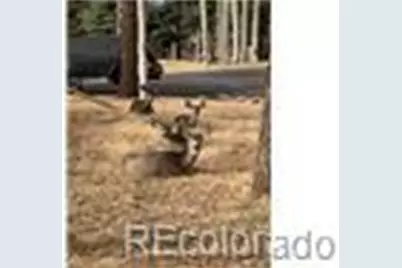 940 E Kelleys Road, Woodland Park, CO 80863 - Photo 39