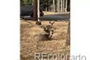 940 E Kelley's Rd, Woodland Park, CO 80863 - Photo 39