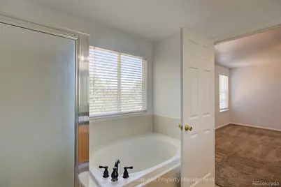 10525 Tiger Chase, Littleton, CO 80124 - Photo 23