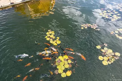 28803 Redlands Mesa Road, Hotchkiss, CO 81419 - Photo 35