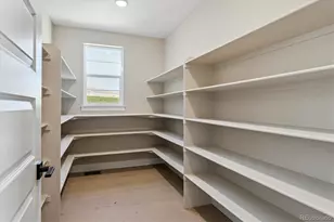 1339 Oleander St, Castle Rock, CO 80109 - Photo 9