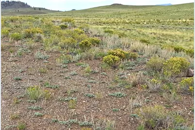 217 Black Gatto Trail, Hartsel, CO 80449 - Photo 9