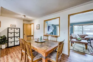 746 W Anemone Trail, Dillon, CO 80435 - Photo 11