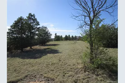 1563 Lisbon Drive, Parker, CO 80138 - Photo 39