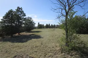 1563 Lisbon Dr, Parker, CO 80138 - Photo 39