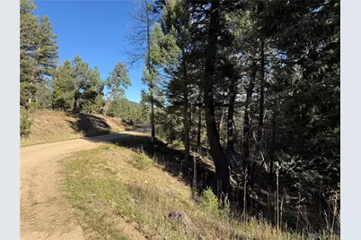 9606 Wallow Court, Conifer, CO 80433 - Photo 13