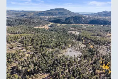 9606 Wallow Court, Conifer, CO 80433 - Photo 27