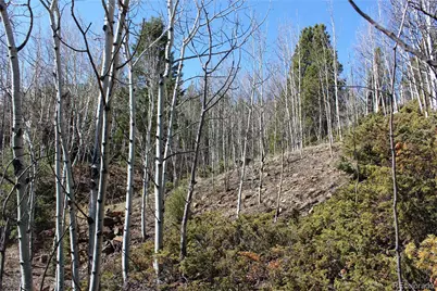 00 Spruce Street, Central City, CO 80427 - Photo 11