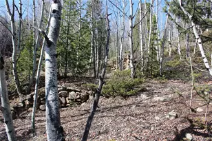 00 Spruce St, Central City, CO 80427 - Photo 1