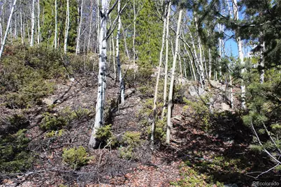 00 Spruce Street, Central City, CO 80427 - Photo 5