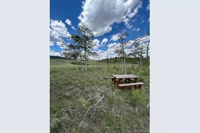 807 Bolster Drive, Hartsel, CO 80449 - Photo 11