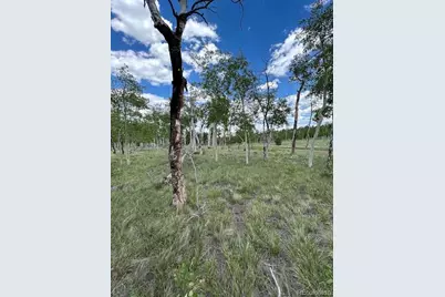 807 Bolster Drive, Hartsel, CO 80449 - Photo 13