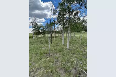 807 Bolster Drive, Hartsel, CO 80449 - Photo 15