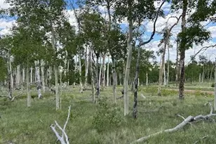 807 Bolster Dr, Hartsel, CO 80449 - Photo 1