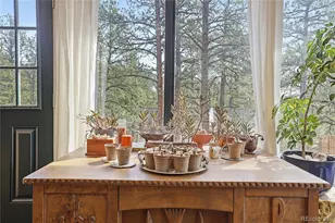 28587 Park Ave, Pine, CO 80470 - Photo 23