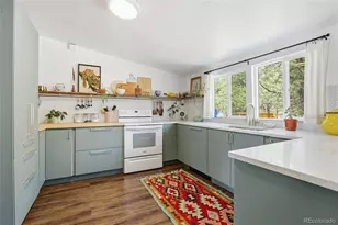 28587 Park Ave, Pine, CO 80470 - Photo 9