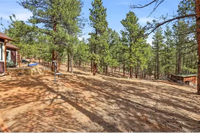 28587 Park Avenue, Pine, CO 80470 - Photo 43