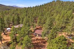 28587 Park Ave, Pine, CO 80470 - Photo 37