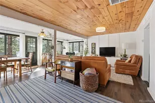 28587 Park Ave, Pine, CO 80470 - Photo 15