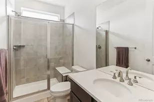 8115 Mount Kataka St, Littleton, CO 80125 - Photo 21