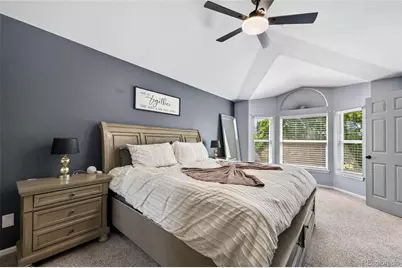 9924 Silver Maple Way, Highlands Ranch, CO 80129 - Photo 19