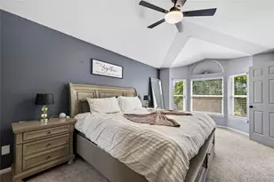 9924 Silver Maple Way, Highlands Ranch, CO 80129 - Photo 19