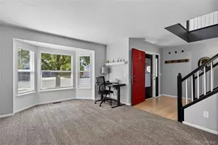 9924 Silver Maple Way, Highlands Ranch, CO 80129 - Photo 3